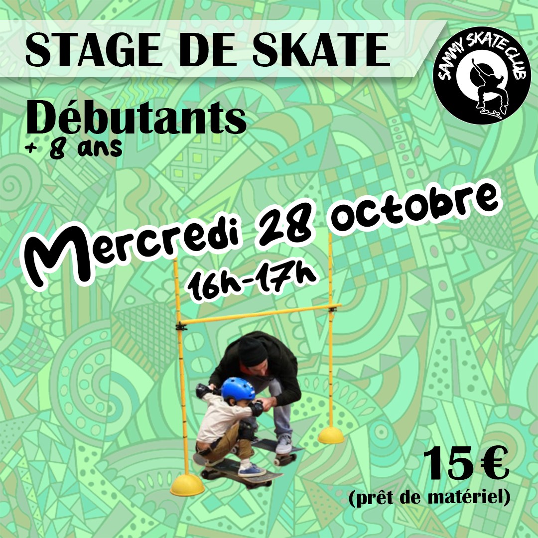 Stage de skate